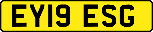 EY19ESG