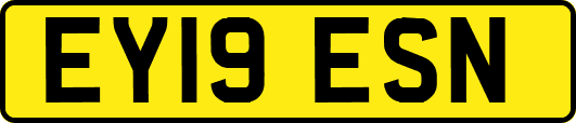 EY19ESN