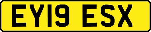 EY19ESX