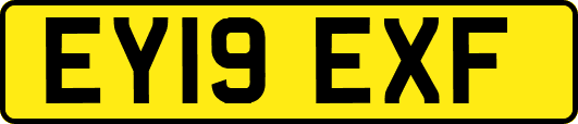 EY19EXF