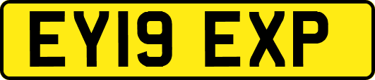 EY19EXP