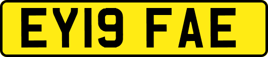 EY19FAE
