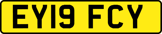 EY19FCY