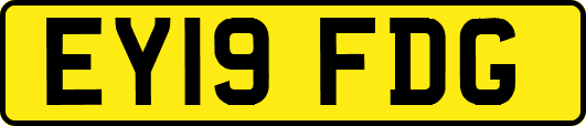 EY19FDG