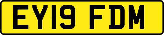 EY19FDM