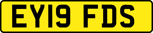 EY19FDS
