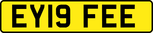 EY19FEE