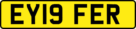 EY19FER