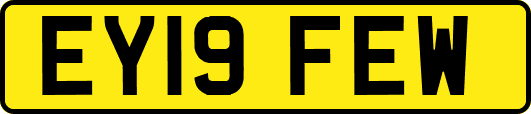 EY19FEW