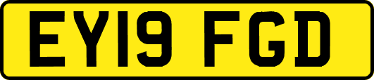 EY19FGD