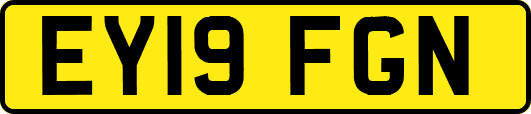 EY19FGN