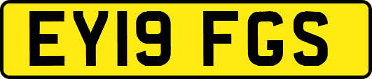 EY19FGS