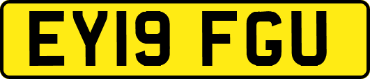 EY19FGU
