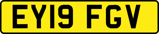EY19FGV
