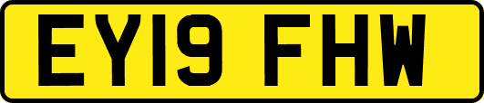 EY19FHW
