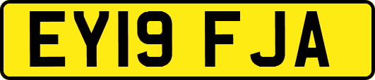 EY19FJA