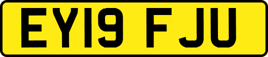 EY19FJU