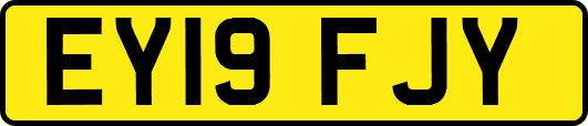 EY19FJY