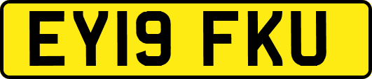 EY19FKU