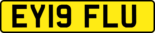 EY19FLU