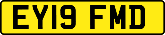 EY19FMD