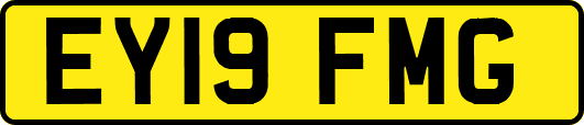 EY19FMG