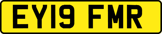 EY19FMR
