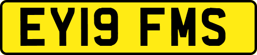EY19FMS