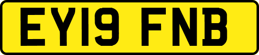 EY19FNB