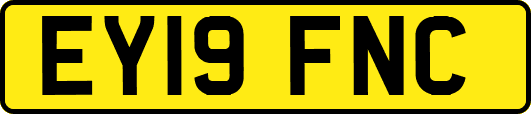 EY19FNC
