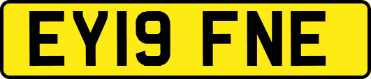 EY19FNE