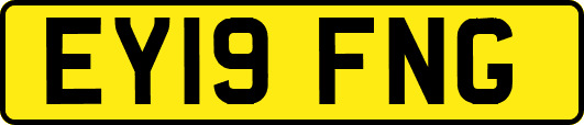 EY19FNG