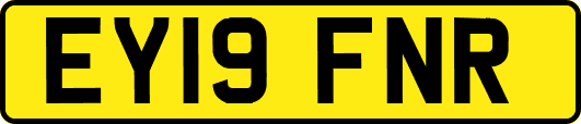 EY19FNR
