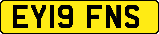 EY19FNS