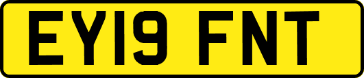 EY19FNT