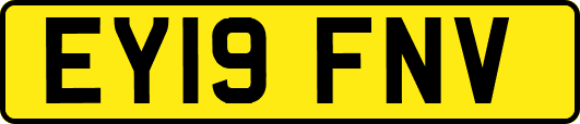 EY19FNV