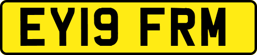 EY19FRM