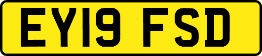 EY19FSD