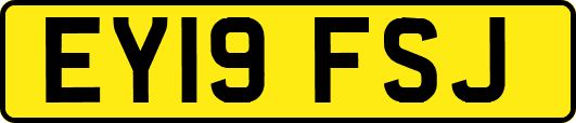 EY19FSJ