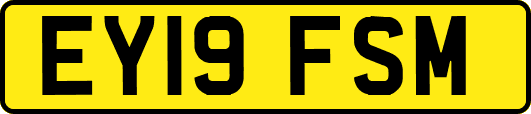 EY19FSM