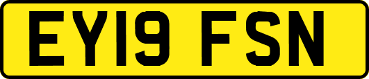 EY19FSN
