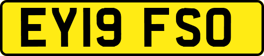 EY19FSO