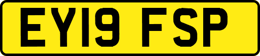 EY19FSP