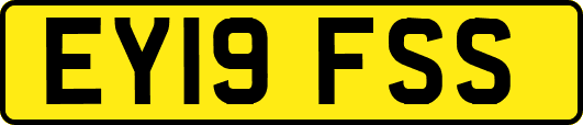 EY19FSS