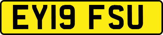 EY19FSU