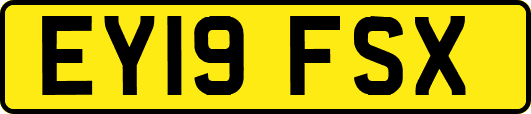 EY19FSX