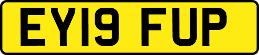 EY19FUP