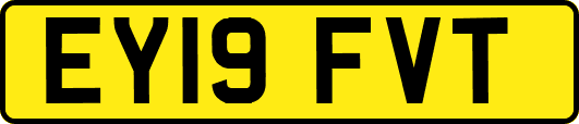 EY19FVT