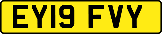 EY19FVY