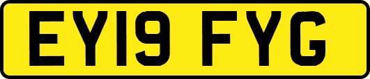 EY19FYG